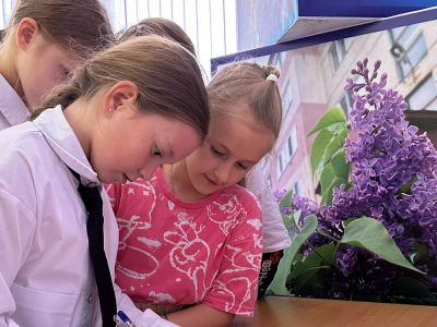 Подробнее...